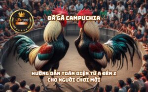 Đá Gà Campuchia SV388 - Hướng Dẫn Toàn Diện Từ A Đến Z Cho Người Chơi Mới