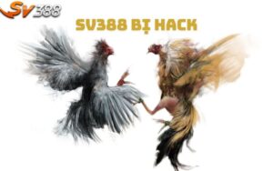 SV388 Bị Hack? Thực Hư Thông Tin Và Các Biện Pháp An Toàn